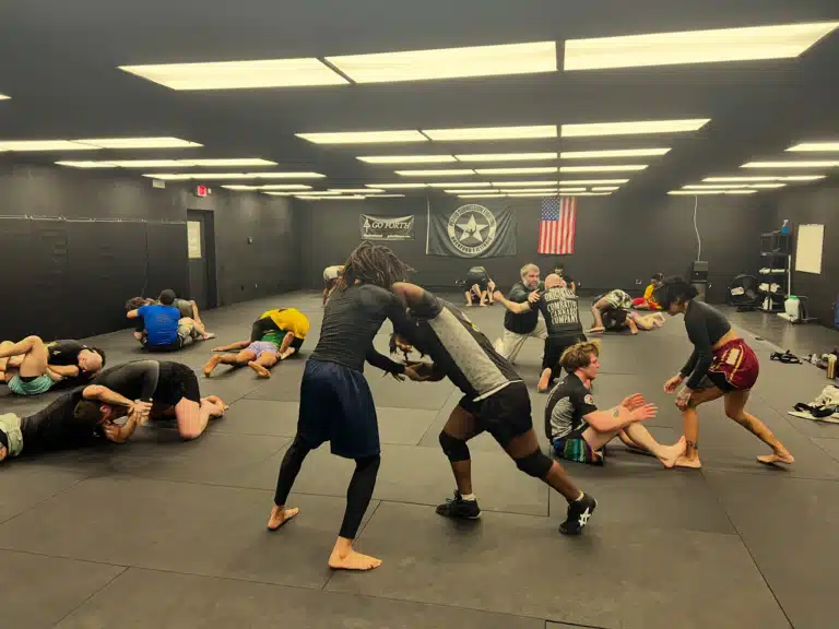 wrestling training options